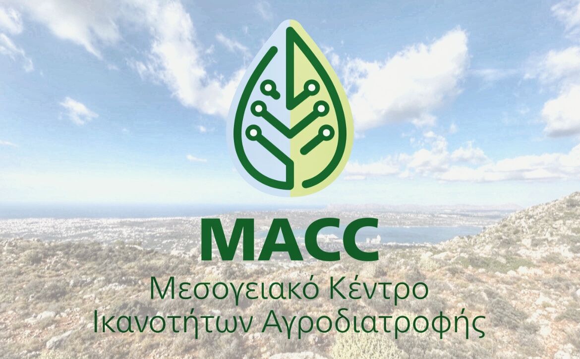 ταυτότητα και λογότυπος AMCC