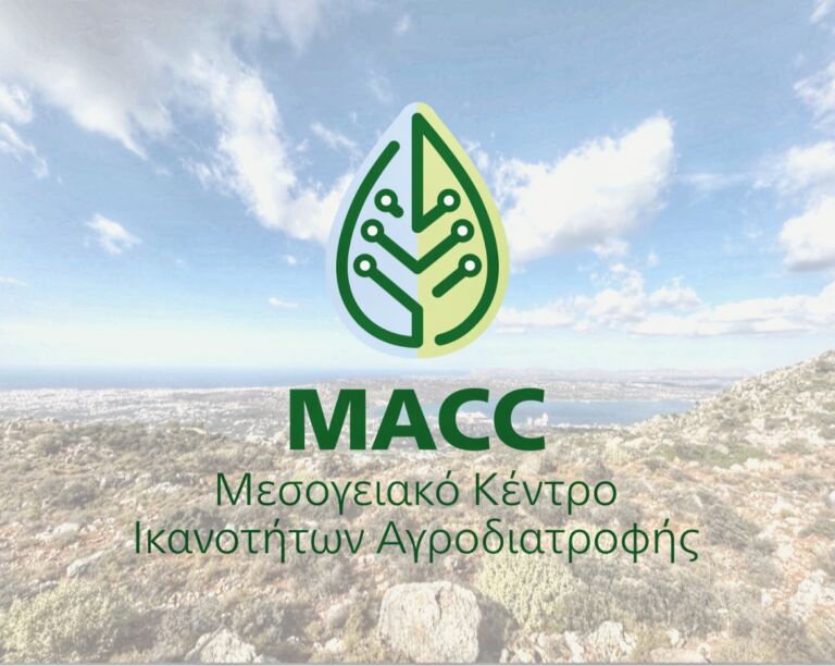 ταυτότητα και λογότυπος AMCC